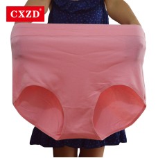  Fashion NEW Women's briefs stretching Plus Size 4XL High waist underwear Women Sexy Ultra-thin Seamless pants Briefs
